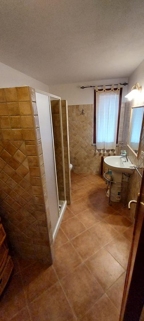 Un bagno con lavandino, WC, doccia e specchio.