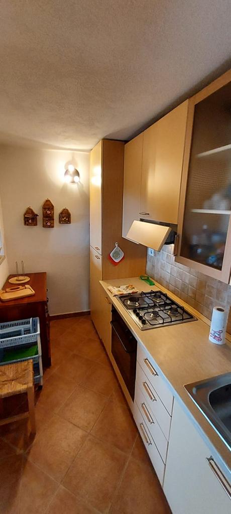 Una cucina con fornelli, lavello, armadietti e un tavolo.