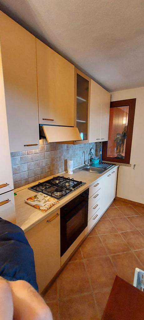 Una cucina con piano cottura, forno, microonde, lavello e mobili.