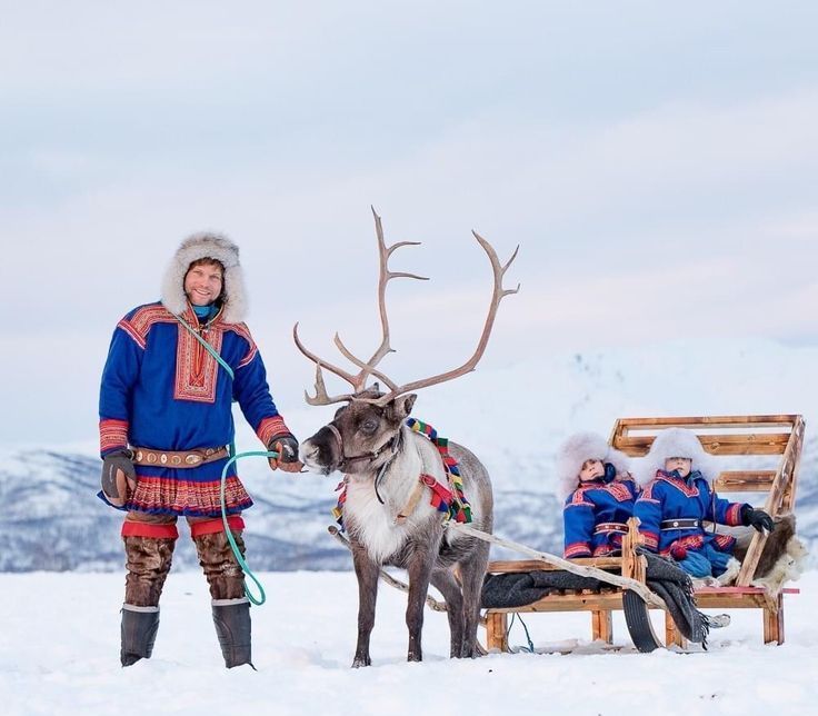 reindeer sledding tromso tours alshemal sami people man holding a reindeer