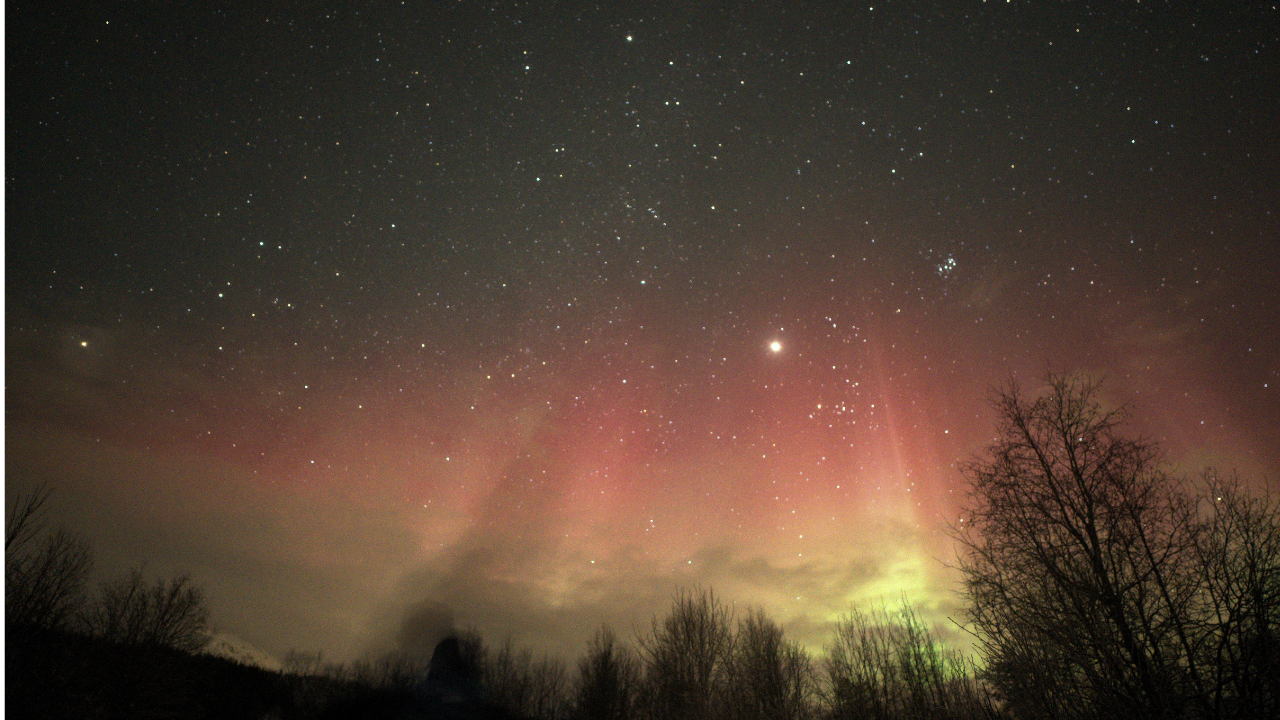 Aurora Natural light in the sky of Tromso and the nature in the Night
