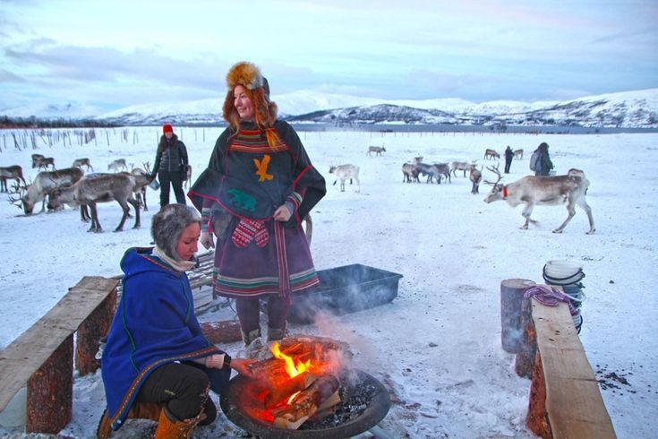 camp fire sami people and the reindeer herd in tromso norway