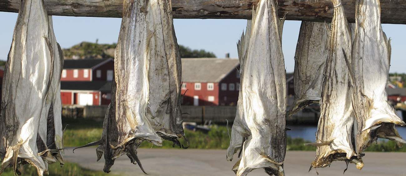 Dried fish in Tromso Norway cultural food in Norway