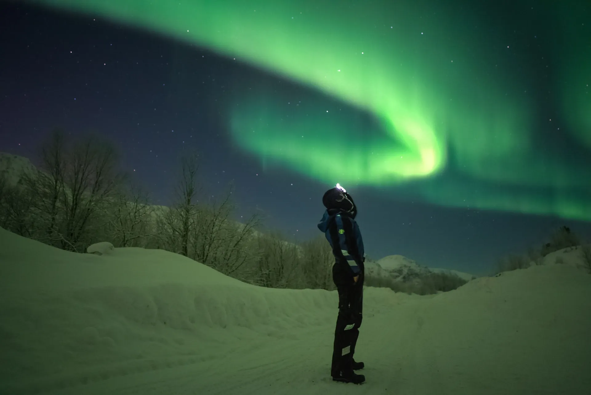 Spectacular green auroral canopy dancing over an Arctic wilderness observation spot during an Alshemal night chase