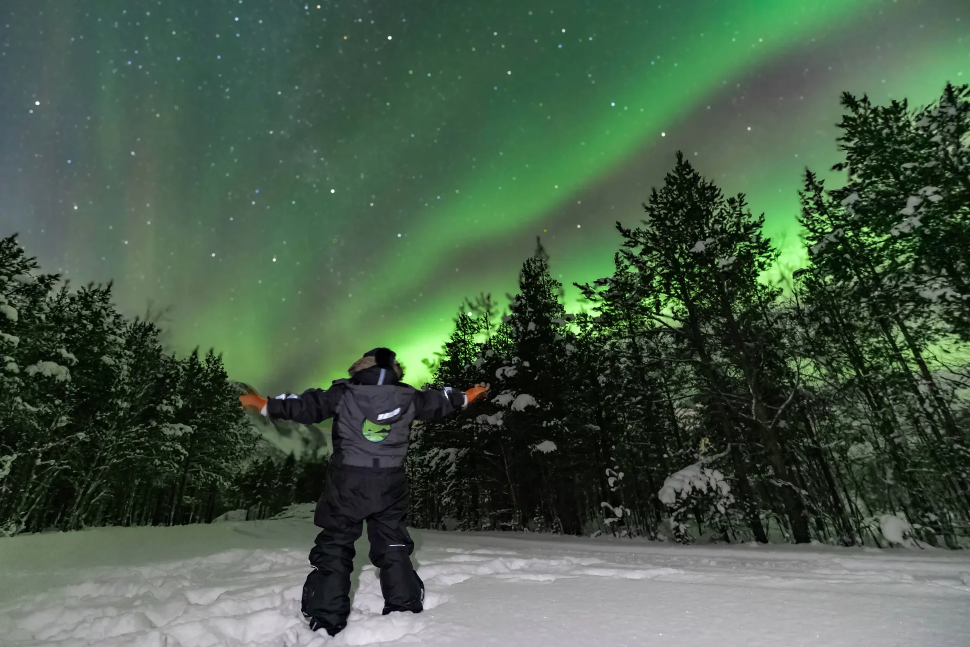 Vibrant green Northern Lights illuminated across the Arctic night sky over Northern Norway