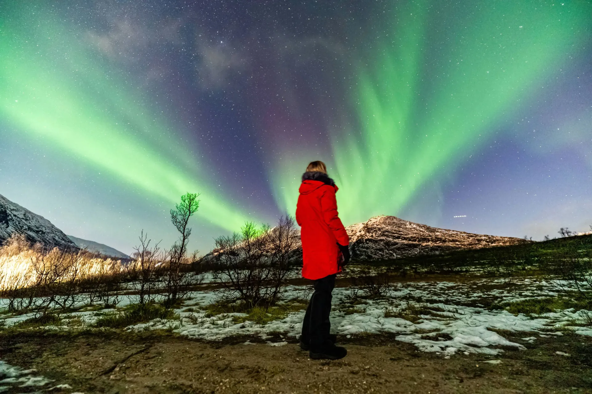 Traveler in a bright red coat standing on a snowy hillside looking up at sweeping green Northern Lights ribbons in Northern Norway