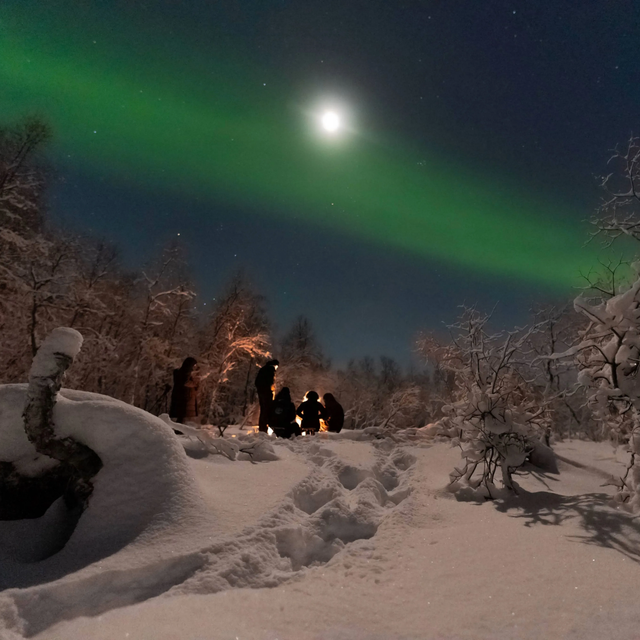 Small group gathered around a wilderness campfire in deep snow under green Northern Lights and moonlit sky in Tromsø