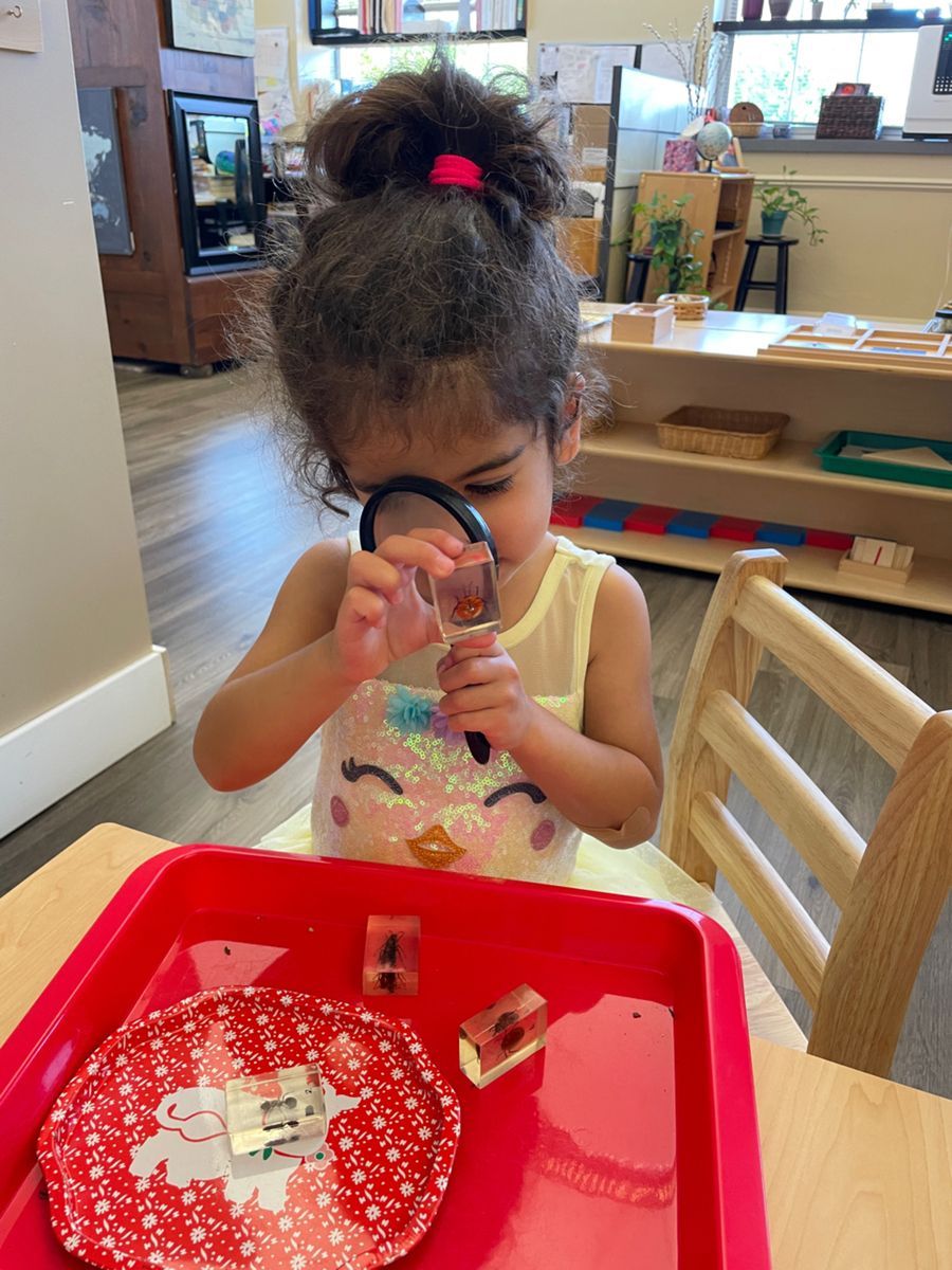 A little girl is looking through a magnifying glass.