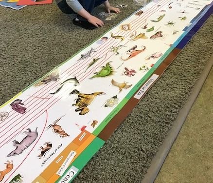 Child on carpet next to a timeline of life in a Montessori classroom