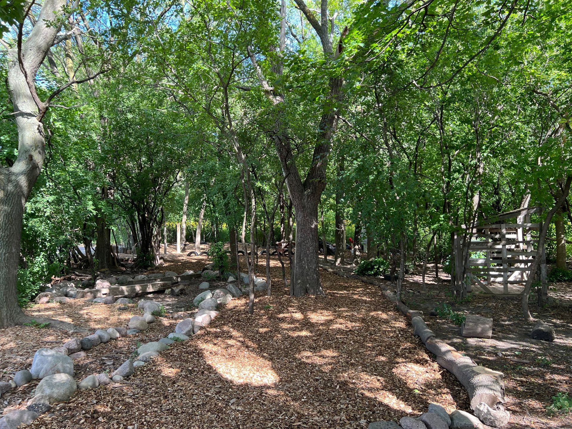 A path in the middle of a forest surrounded by trees and rocks.