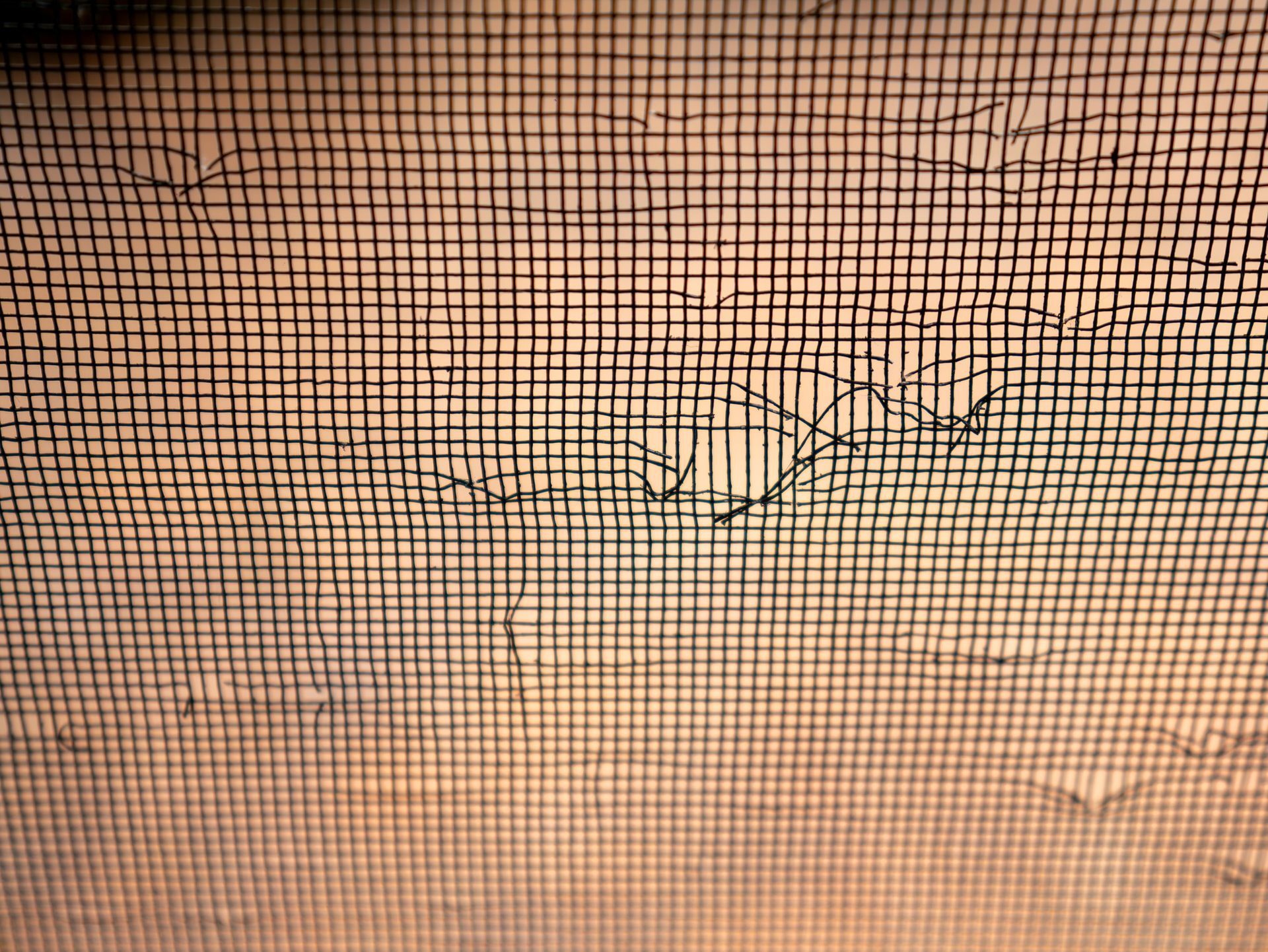 View through a dark mesh screen of sandy ground with a small leafless twig in the center right.