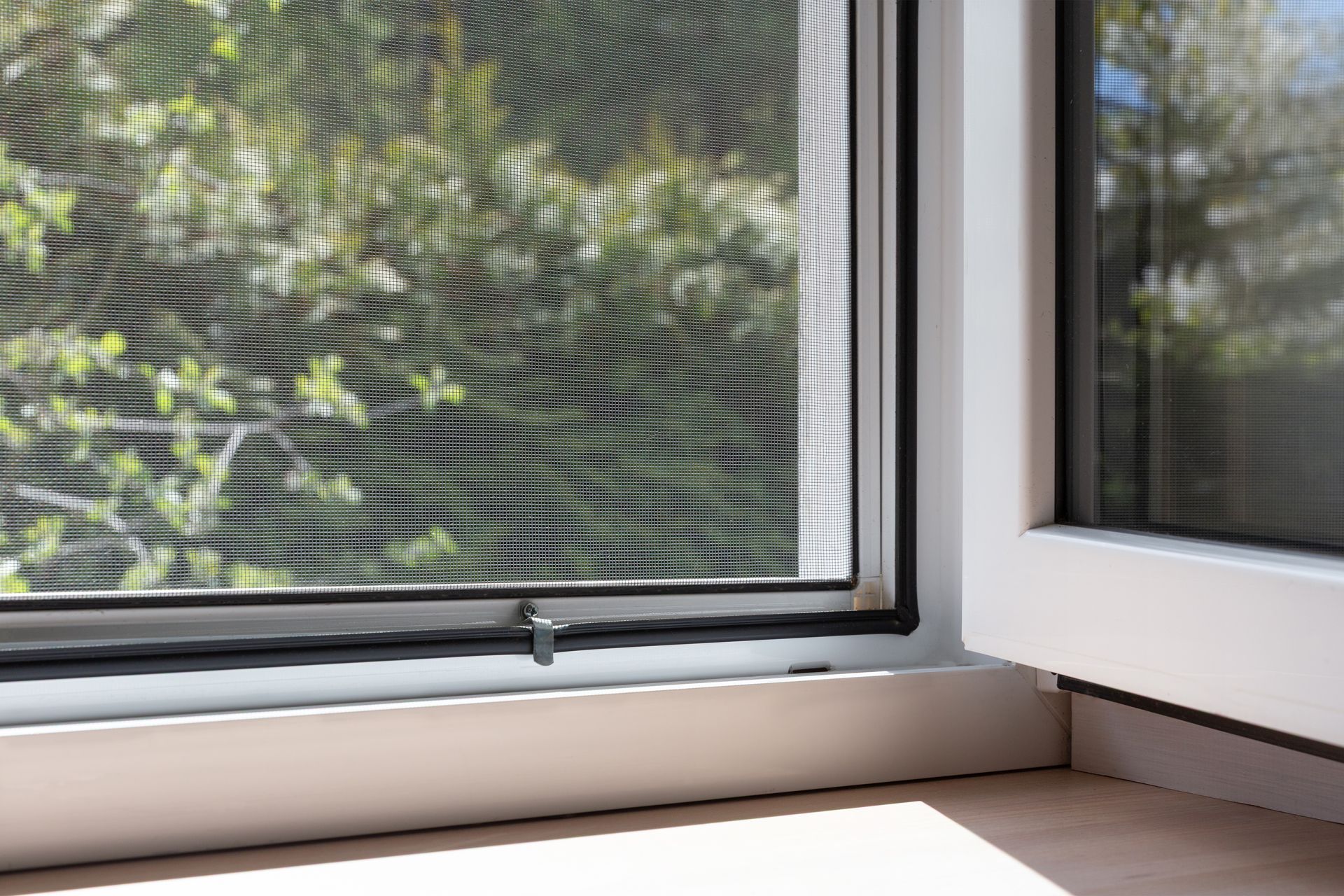White window frame with mesh screen and a view of green foliage outside