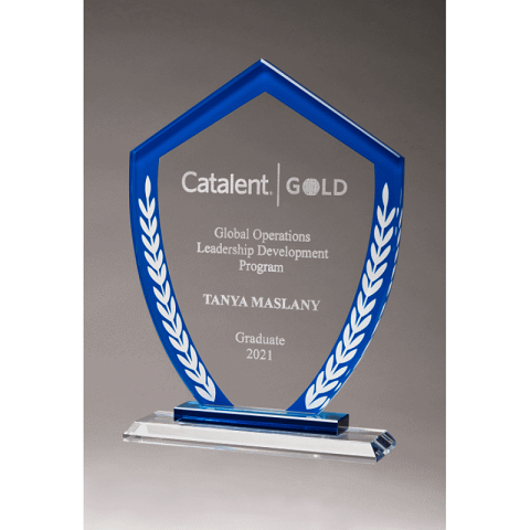 Shield shape award with blue border and laurel leaves.