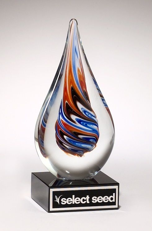 Teardrop shaped orange, blue, and white glass recognition award