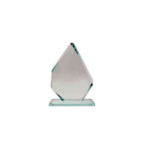 Glass iceberg recognition award.