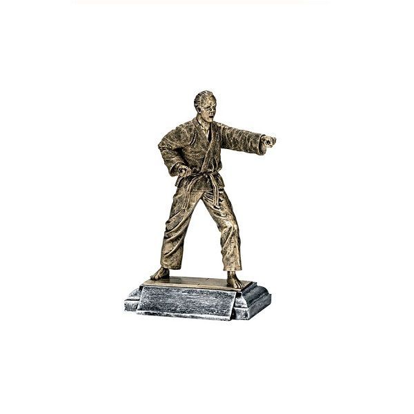 Karate trophy.