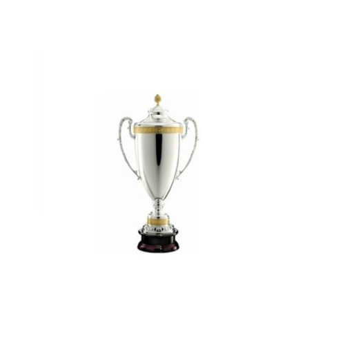 Silver and gold award trophy cup.