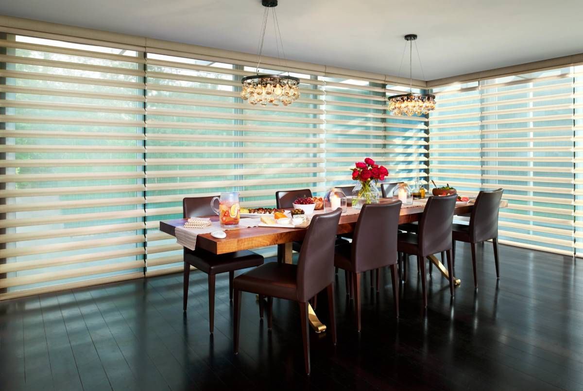 Hunter Douglas Pirouette® Sheer Shades near Omaha, Nebraska (NE)