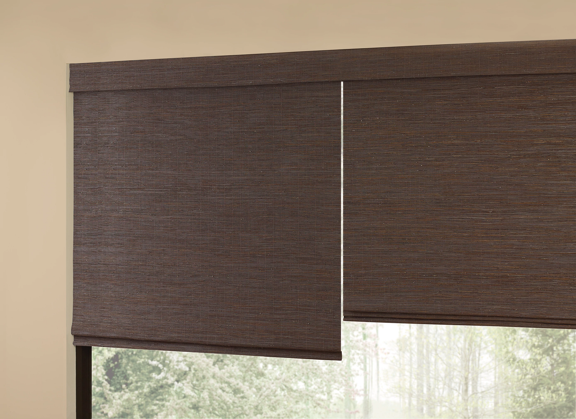 Hunter Douglas Provenance® Woven Wood Shades paired with dark window frames near Omaha, NE