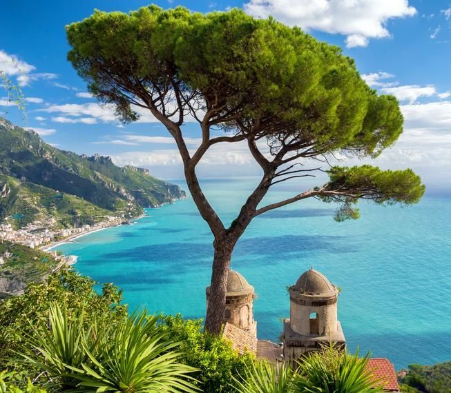 An umbrella pine tree frames a sweeping view of the Amalfi Coast, with terracotta rooftops and twin stone towers overlooking the deep blue sea.