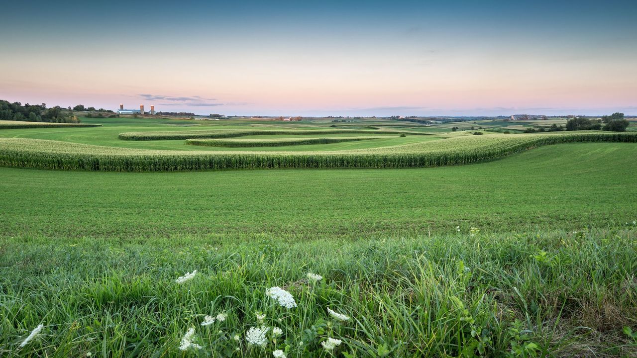 Wide green fields under a pink sunset sky with a distant farm horizon