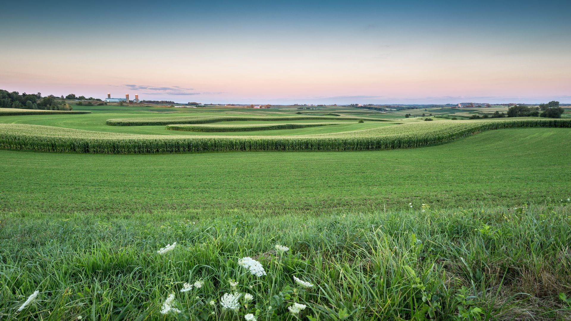 Wide green fields under a pink sunset sky with a distant farm horizon