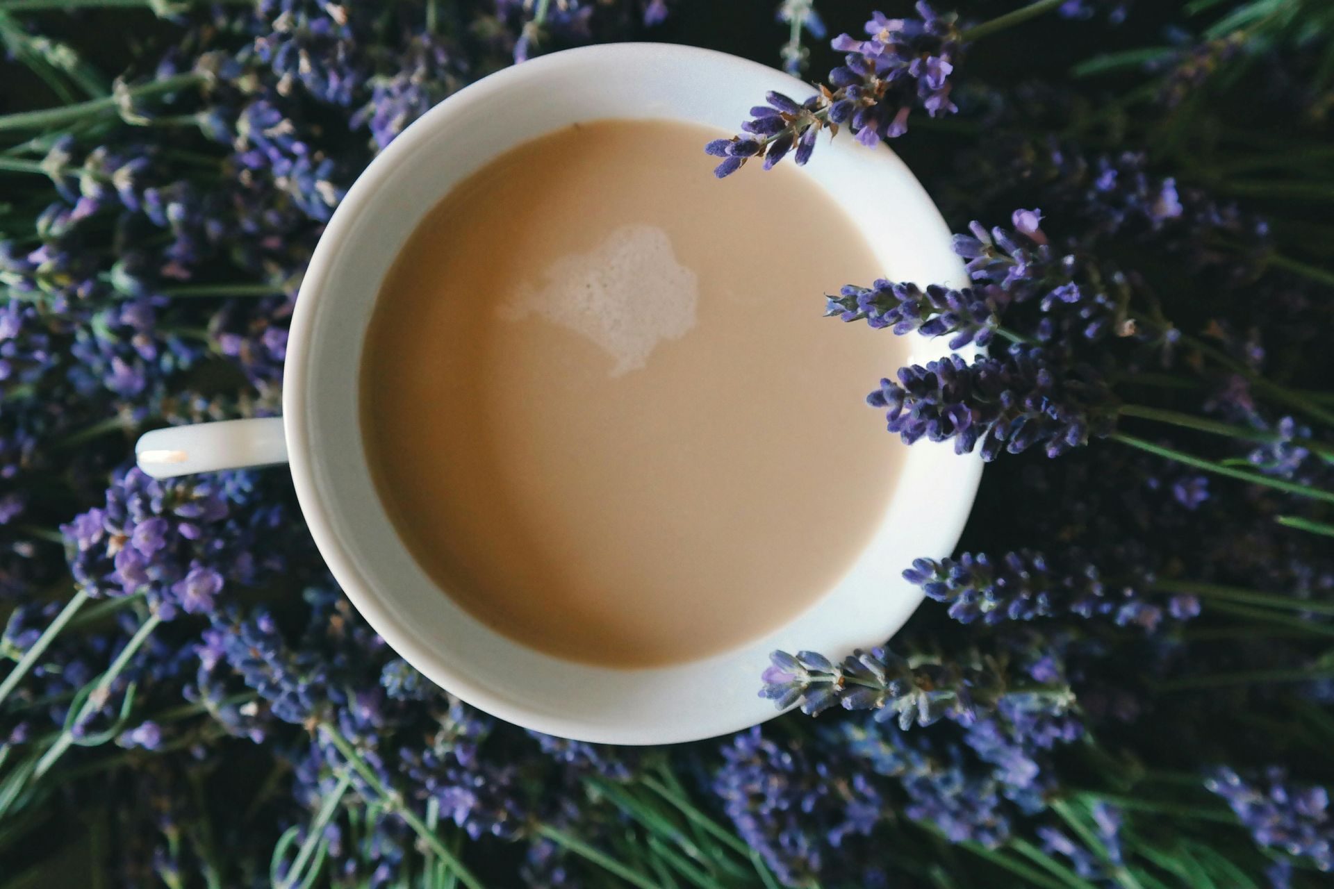 Top-down view of cup of tea, dried lavender, and natural herbal ingredients in field of green.