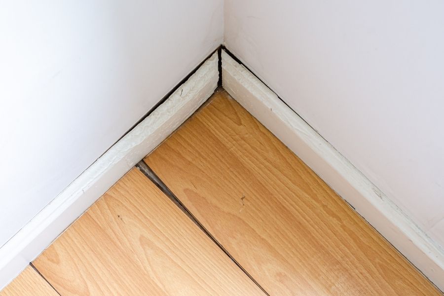 Dark mold growth along the seam where white baseboard meets a hardwood floor in the corner of a room
