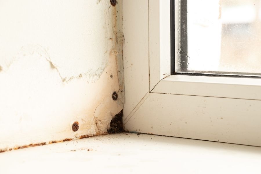 White window frame and sill with peeling paint and dark mold growth around the lower track and corner