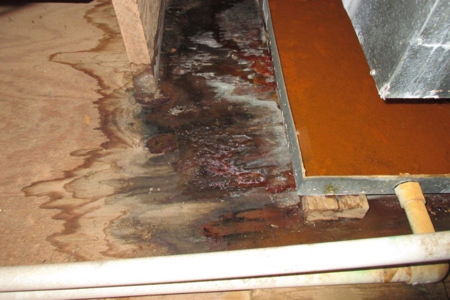 Moisture meter pressed against bathroom wall tile grout line showing elevated readings, with a partially removed baseboard revealing damp drywall