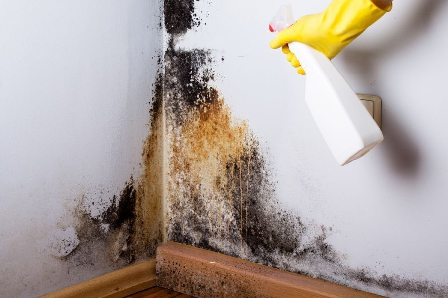 Osceola County Damage Restoration You Can Verify