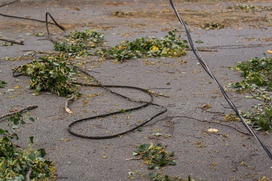 Storm-damaged trees and downed power lines near a Florida home