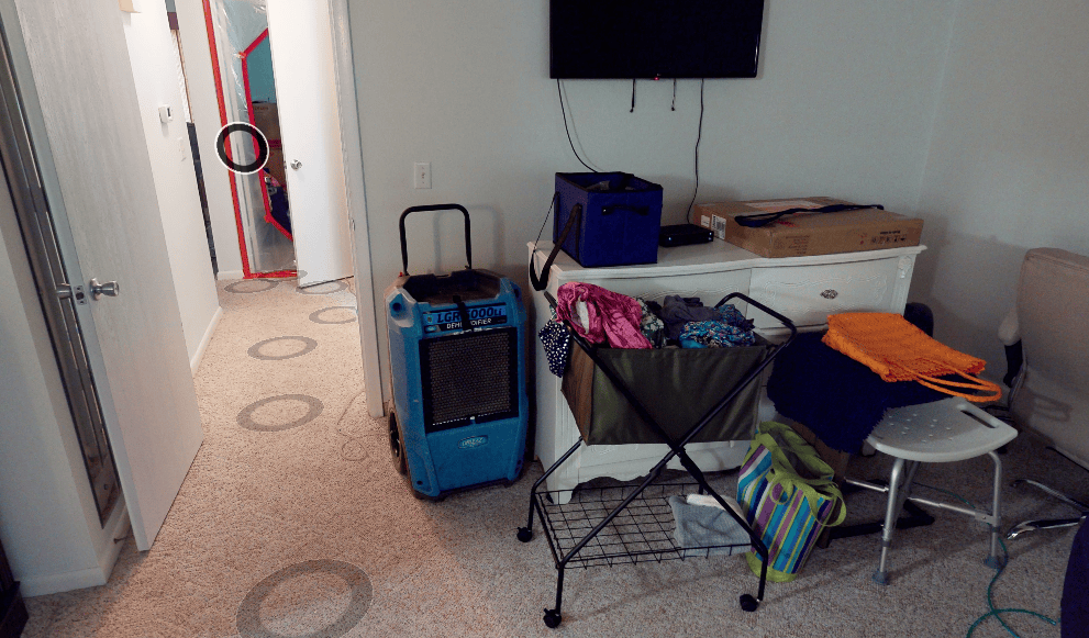 carpet water damage
