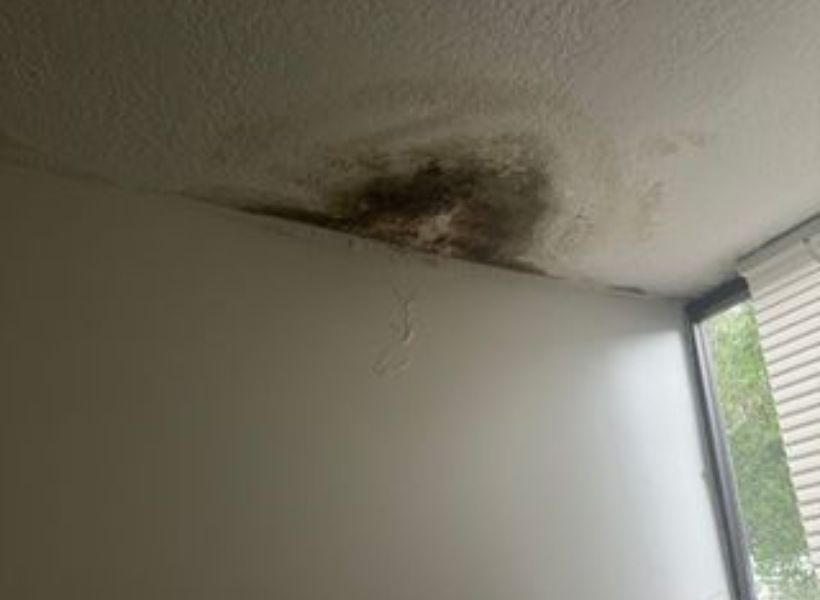 ceiling-before