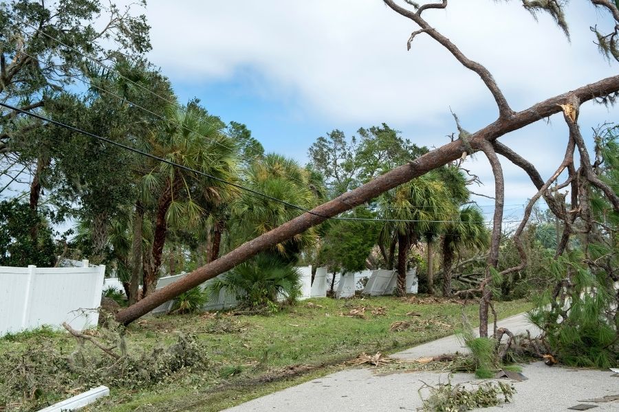 Homeowner checking around home for fallen trees and storm damage after a Florida summer storm