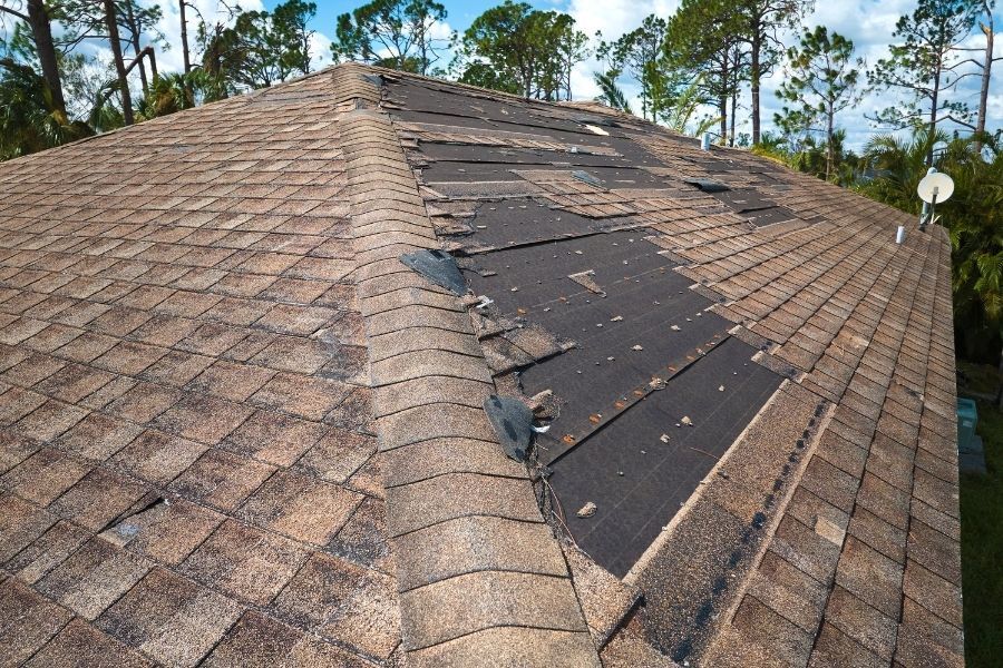 Close-up view of damaged and missing roof shingles after a Florida storm