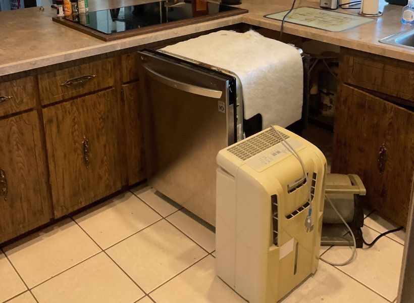 dishwasher leak