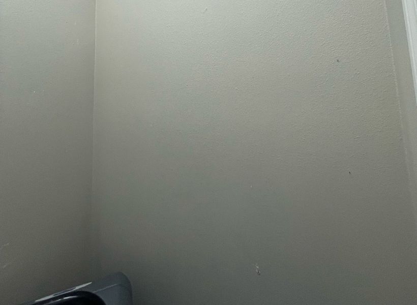 drywalls-during