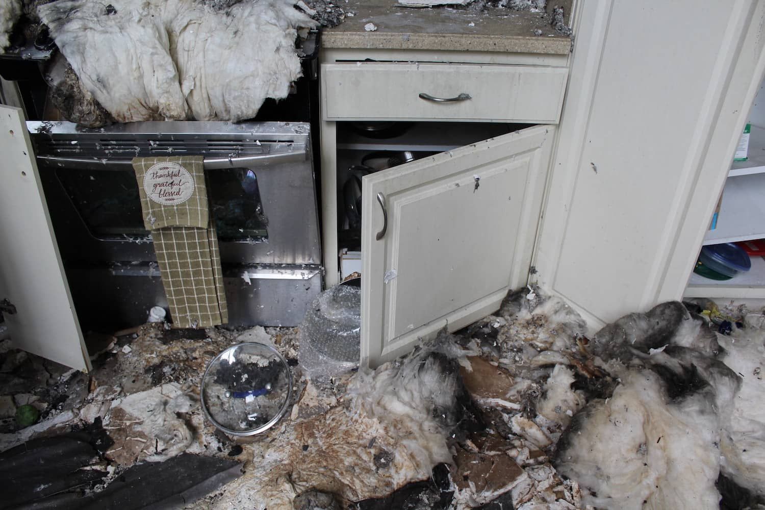 fire damage cleanup