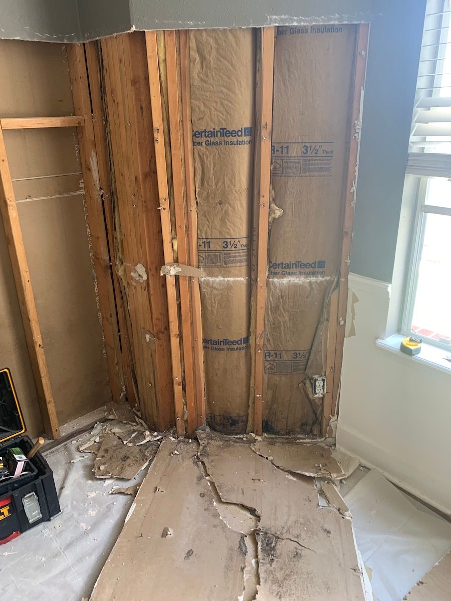 Insulation mold removal
