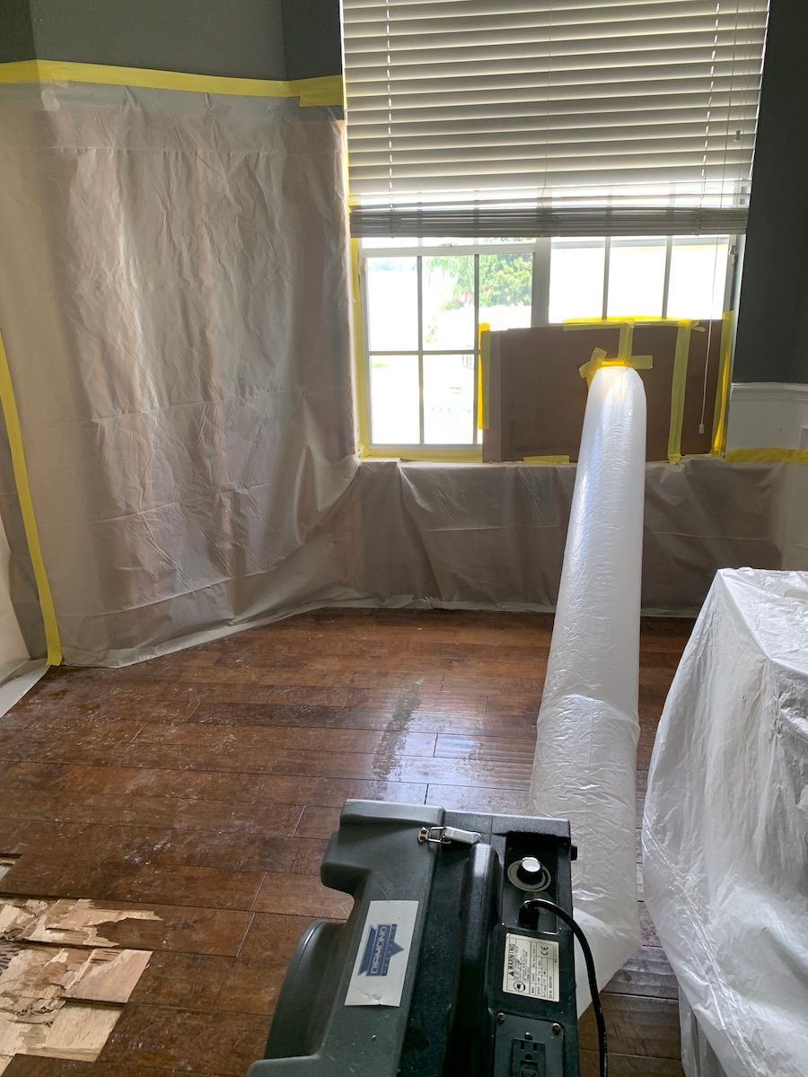 Mold Removal