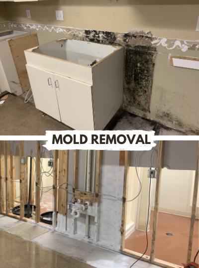 mold removal