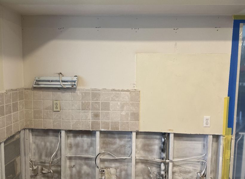 mold removal