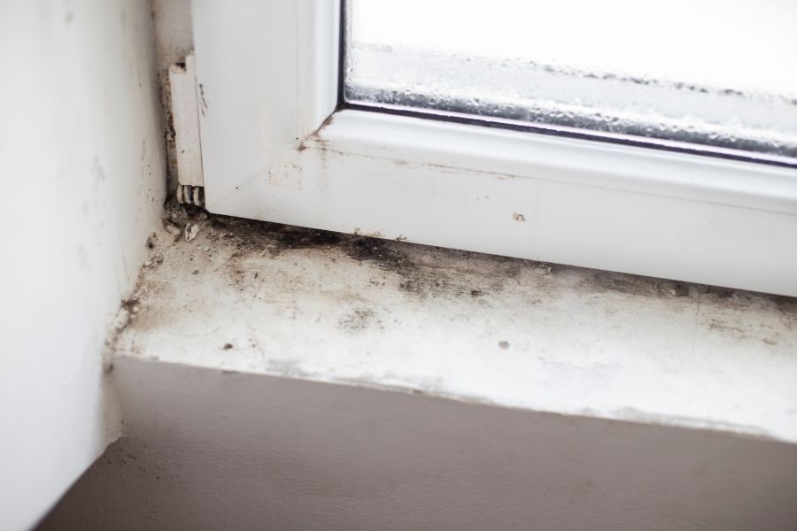 Mold growth around window sill from condensation
