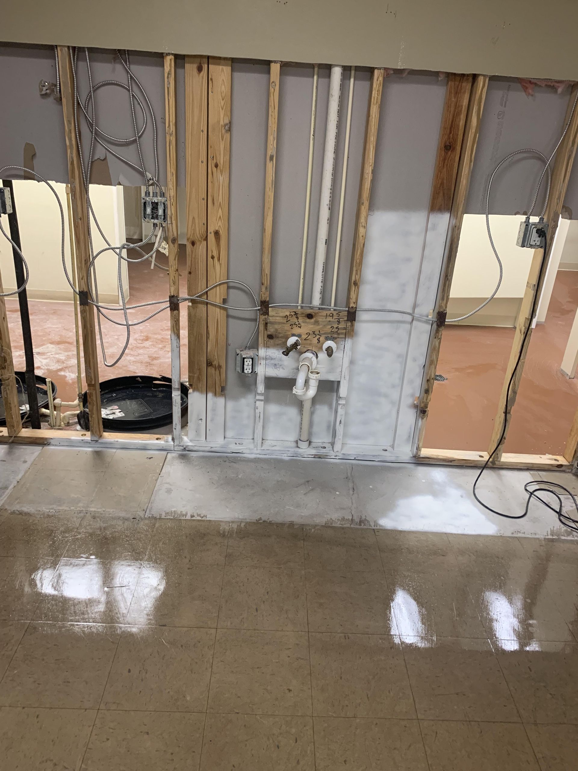 mold mitigation in Mt Dora