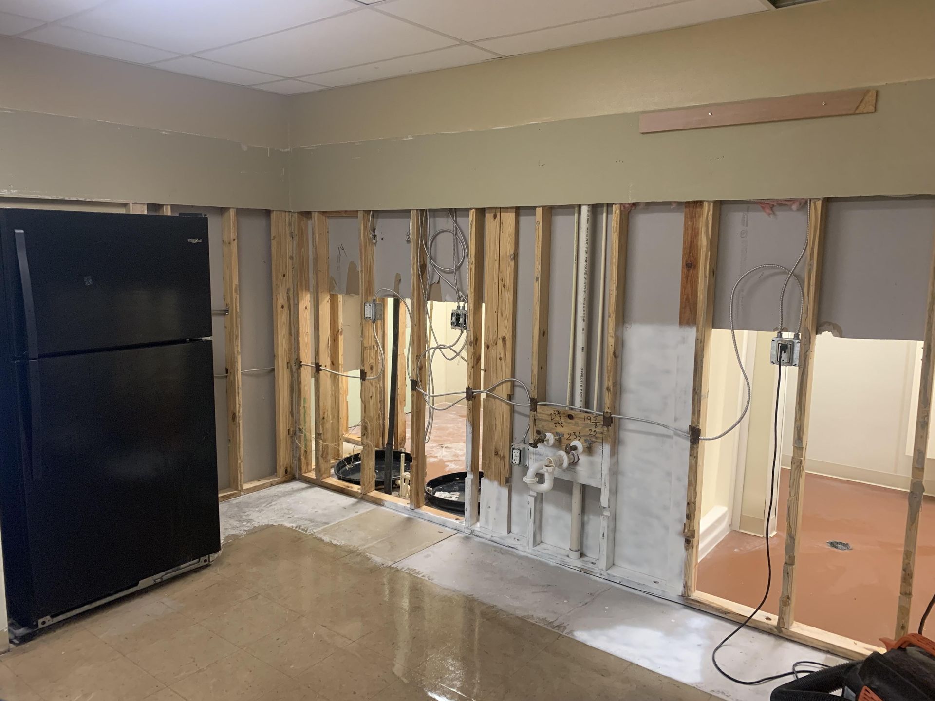 mold mitigation in Mt Dora