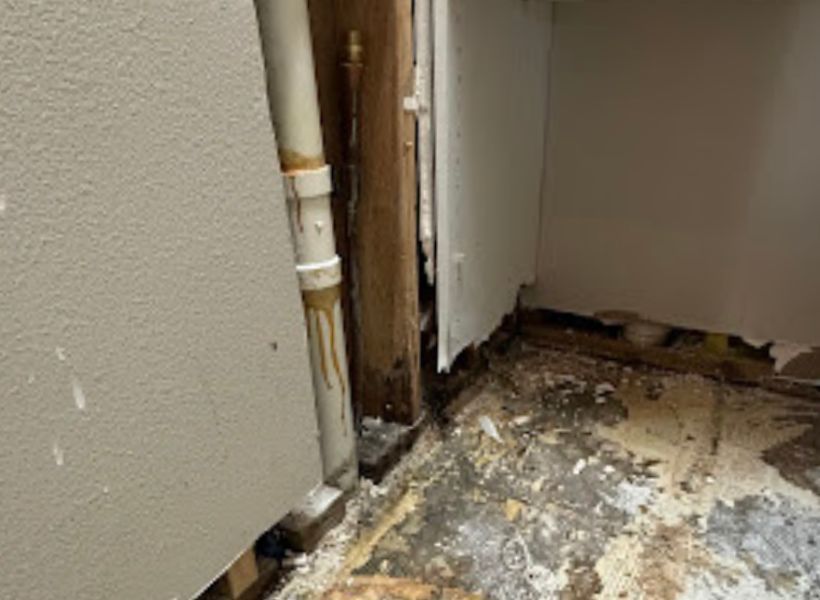 pantry closet demo