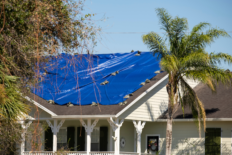 metal roof