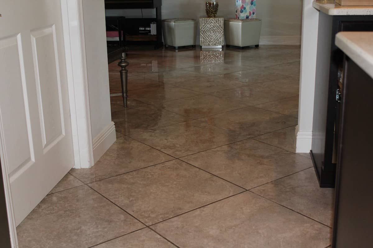 water damage cleanup