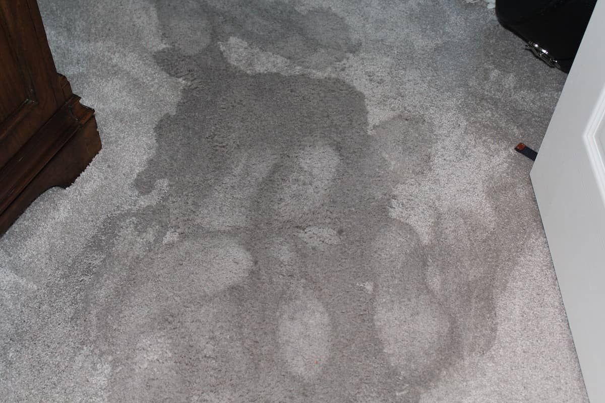 water damage cleanup inverness fl